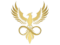 pheonix logo transparent background