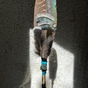 img 7539
