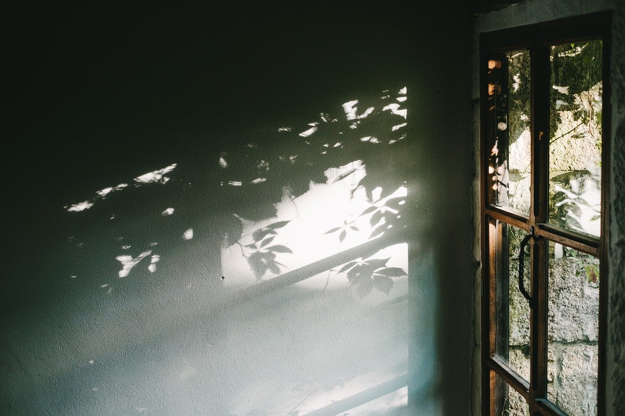 house, door, handle, wall, indoor, glass, shadow, sunshine, steel, concrete, green house, green wall, green glass, green door, green sunshine, green glasses, door, wall, wall, indoor, shadow, shadow, shadow, sunshine, sunshine, sunshine, sunshine, sunshine, concrete, green house, green house, green house, green wall, green wall, green door